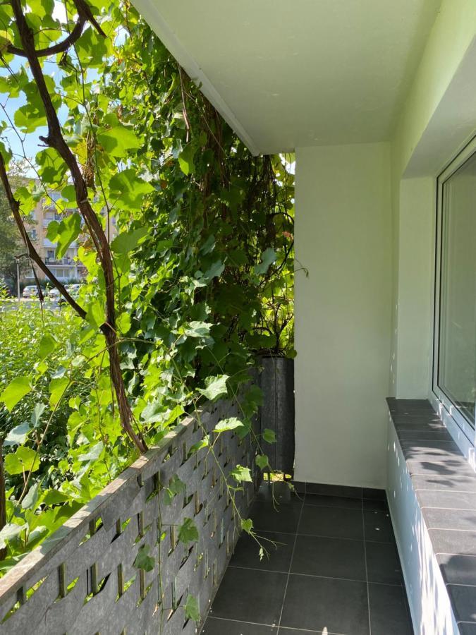 Apartament Blisko Wszedzie Ostrowiec Świętokrzyski المظهر الخارجي الصورة